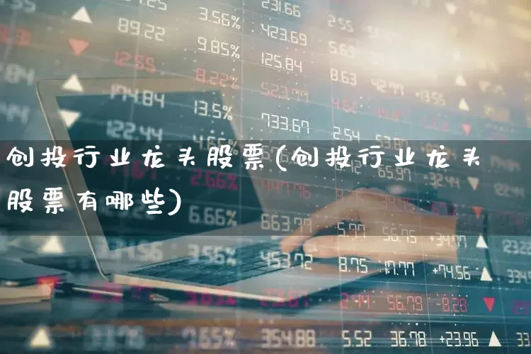 创投行业龙头股票(创投行业龙头股票有哪些)_https://www.ccit-cctv.com_上交所_第1张