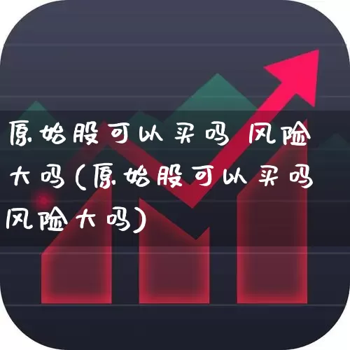 原始股可以买吗 风险大吗(原始股可以买吗风险大吗)_https://www.ccit-cctv.com_创业板_第1张