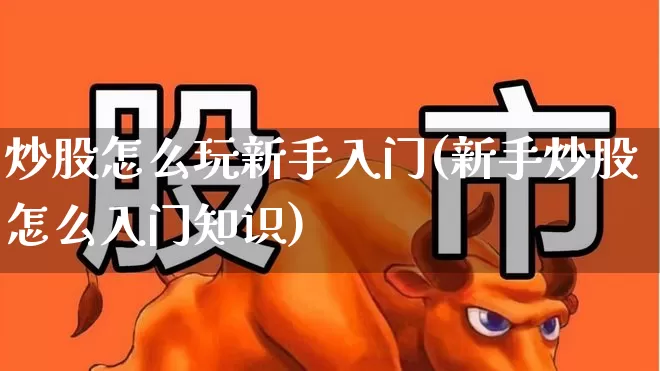 炒股怎么玩新手入门(新手炒股怎么入门知识)_https://www.ccit-cctv.com_上交所_第1张