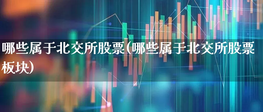 哪些属于北交所股票(哪些属于北交所股票板块)_https://www.ccit-cctv.com_上交所_第1张