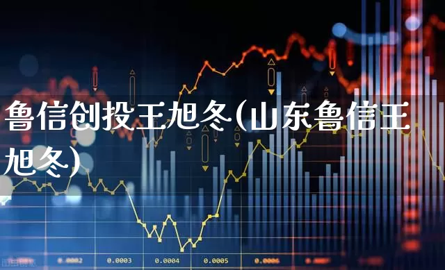 鲁信创投王旭冬(山东鲁信王旭冬)_https://www.ccit-cctv.com_创业板_第1张