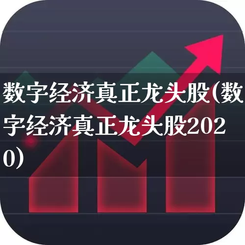 数字经济真正龙头股(数字经济真正龙头股2020)_https://www.ccit-cctv.com_上交所_第1张