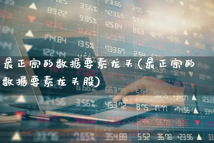 最正宗的数据要素龙头(最正宗的数据要素龙头股)_https://www.ccit-cctv.com_深交所_第1张