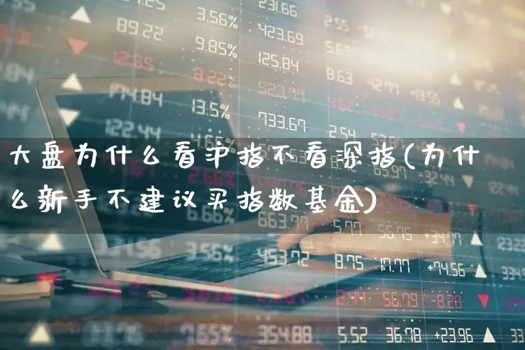 大盘为什么看沪指不看深指(为什么新手不建议买指数基金)_https://www.ccit-cctv.com_创业板_第1张