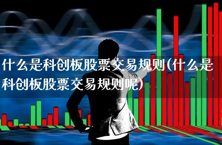 什么是科创板股票交易规则(什么是科创板股票交易规则呢)_https://www.ccit-cctv.com_北交所_第1张
