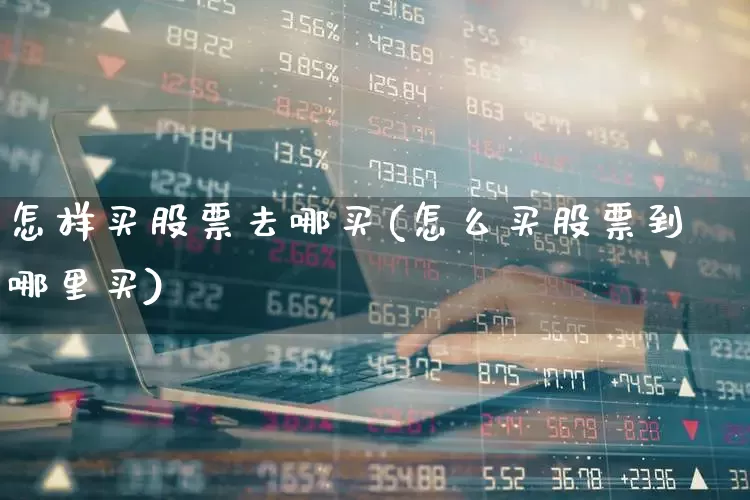 怎样买股票去哪买(怎么买股票到哪里买)_https://www.ccit-cctv.com_北交所_第1张