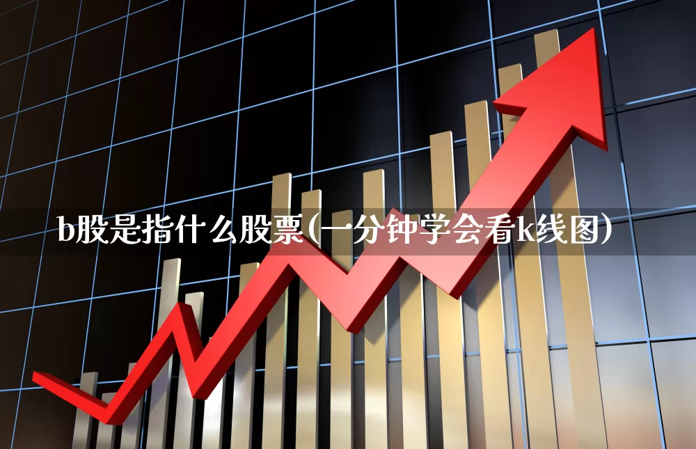b股是指什么股票(一分钟学会看k线图)_https://www.ccit-cctv.com_创业板_第1张
