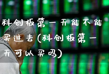 科创板第一天能不能买进去(科创板第一天可以买吗)_https://www.ccit-cctv.com_科创板_第1张