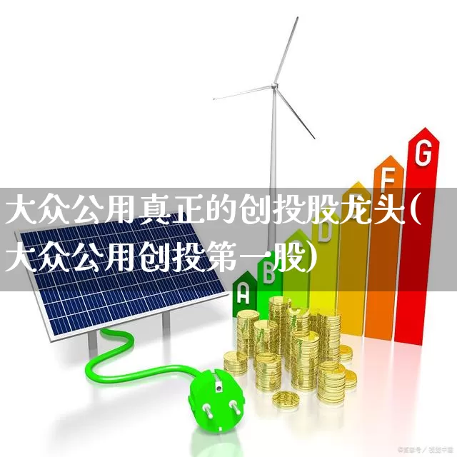 大众公用真正的创投股龙头(大众公用创投第一股)_https://www.ccit-cctv.com_创业板_第1张