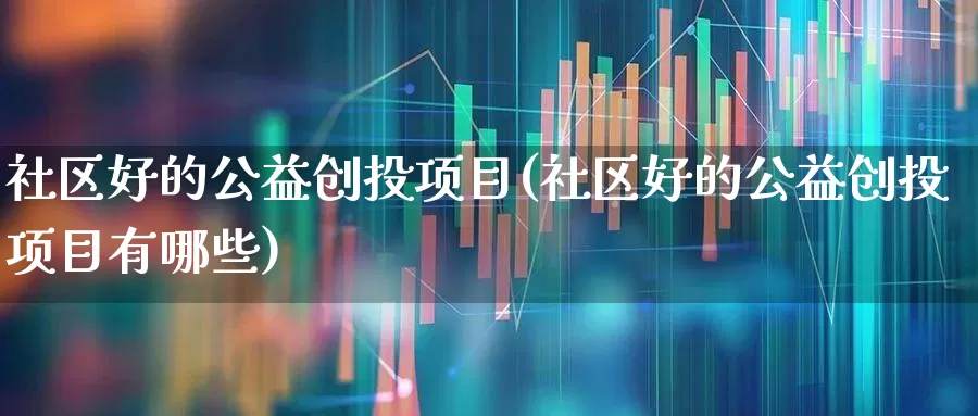 社区好的公益创投项目(社区好的公益创投项目有哪些)_https://www.ccit-cctv.com_创业板_第1张