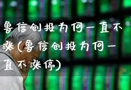 鲁信创投为何一直不涨(鲁信创投为何一直不涨停)_https://www.ccit-cctv.com_科创板_第1张