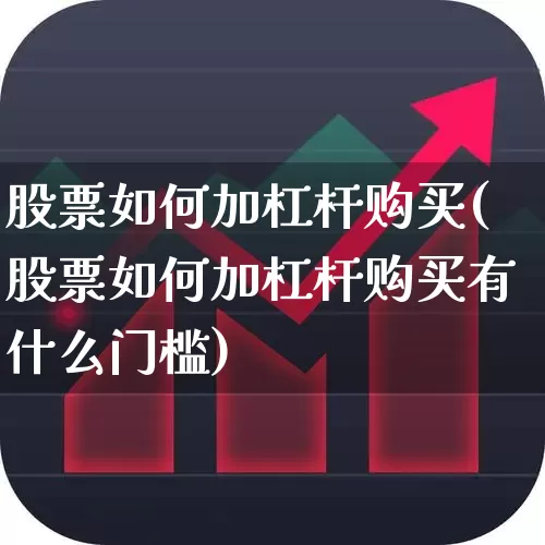 股票如何加杠杆购买(股票如何加杠杆购买有什么门槛)_https://www.ccit-cctv.com_上交所_第1张