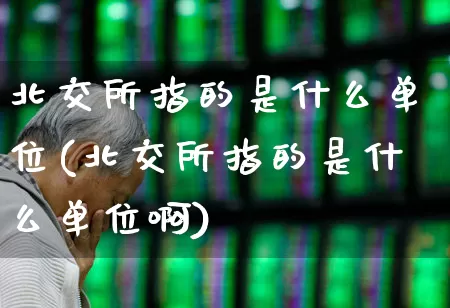 北交所指的是什么单位(北交所指的是什么单位啊)_https://www.ccit-cctv.com_创业板_第1张