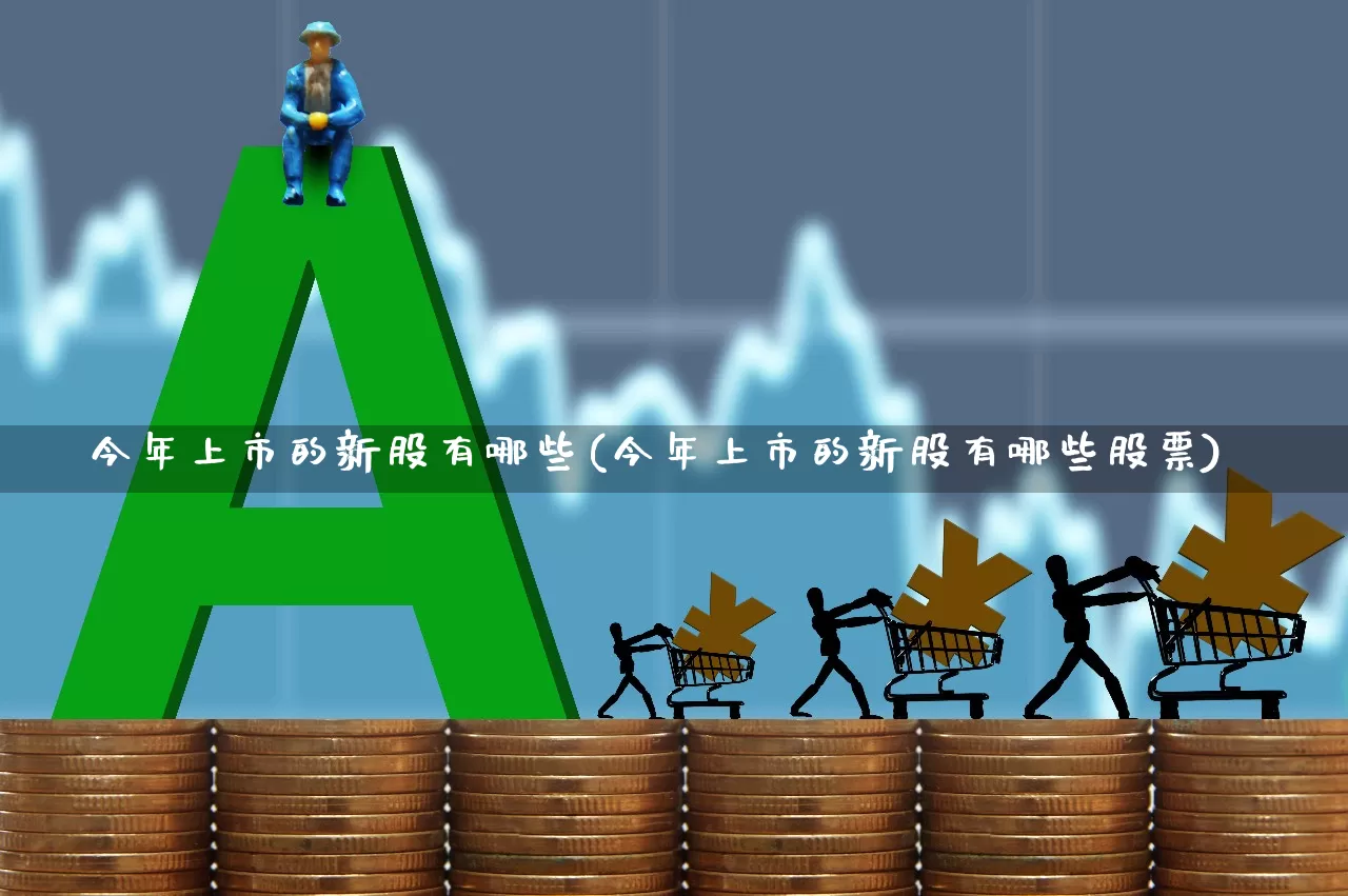 今年上市的新股有哪些(今年上市的新股有哪些股票)_https://www.ccit-cctv.com_深交所_第1张