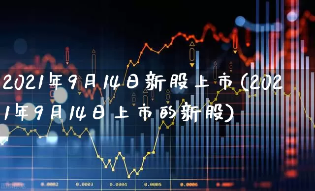 2021年9月14日新股上市(2021年9月14日上市的新股)_https://www.ccit-cctv.com_北交所_第1张
