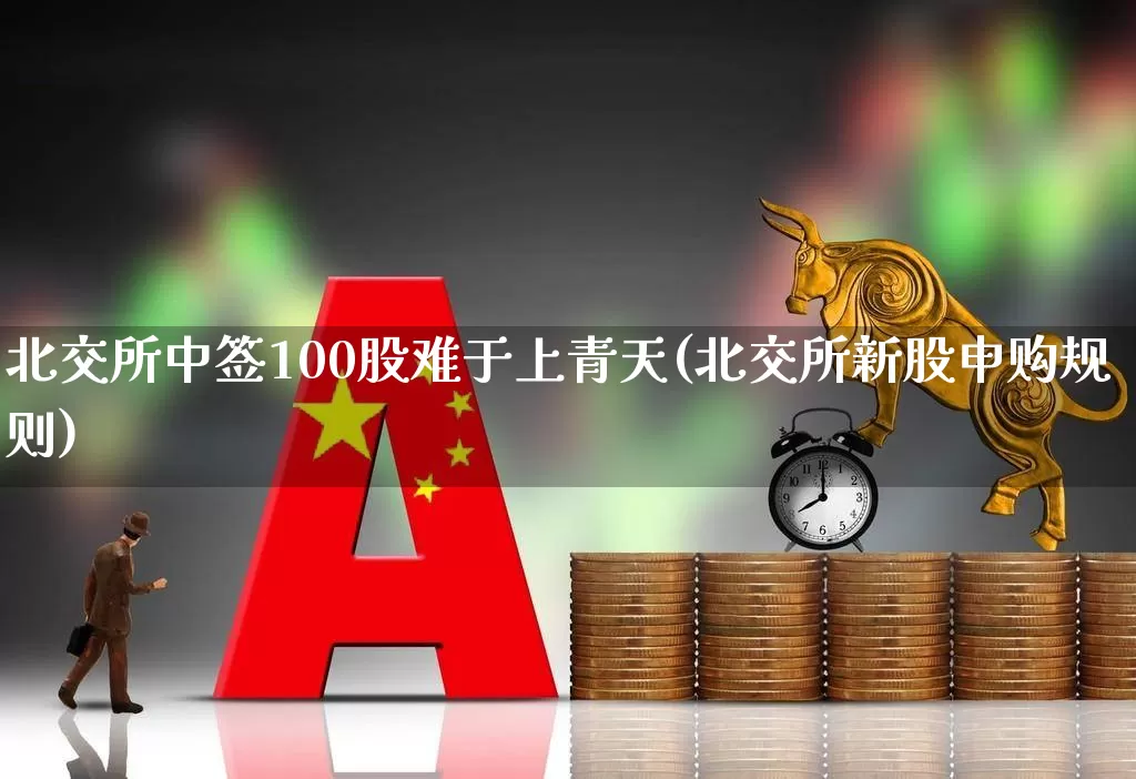 北交所中签100股难于上青天(北交所新股申购规则)_https://www.ccit-cctv.com_深交所_第1张