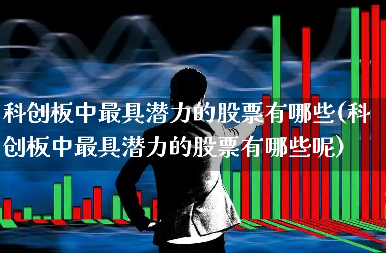 科创板中最具潜力的股票有哪些(科创板中最具潜力的股票有哪些呢)_https://www.ccit-cctv.com_科创板_第1张