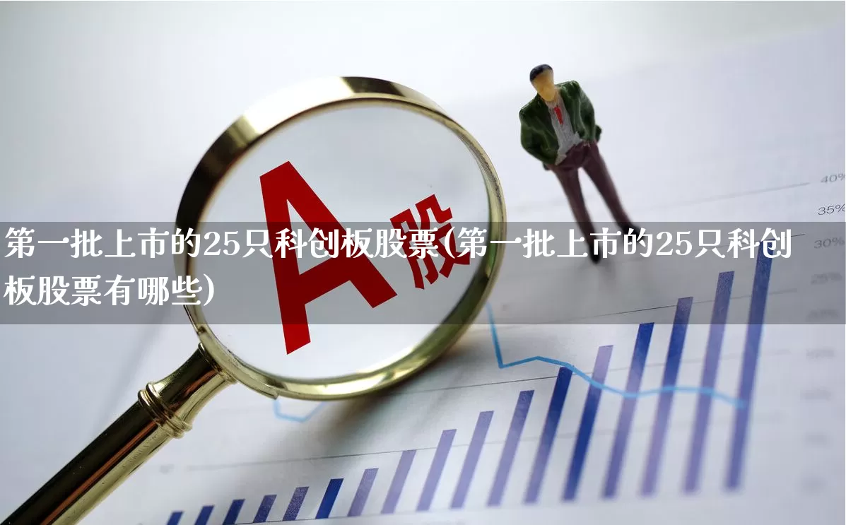 第一批上市的25只科创板股票(第一批上市的25只科创板股票有哪些)_https://www.ccit-cctv.com_北交所_第1张
