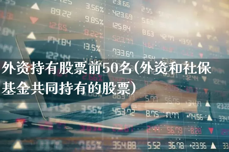 外资持有股票前50名(外资和社保基金共同持有的股票)_https://www.ccit-cctv.com_科创板_第1张
