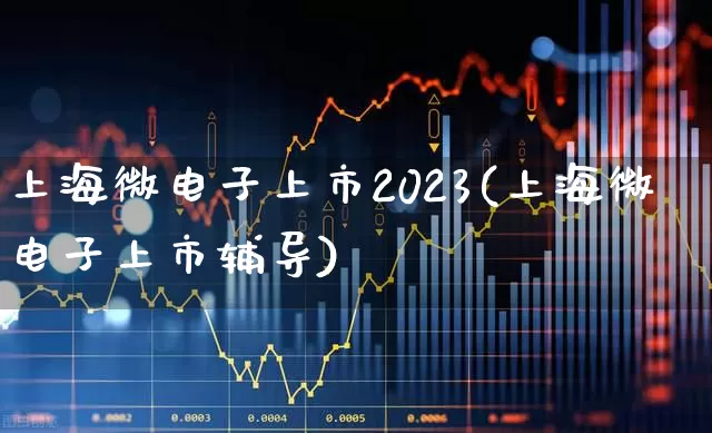 上海微电子上市2023(上海微电子上市辅导)_https://www.ccit-cctv.com_北交所_第1张