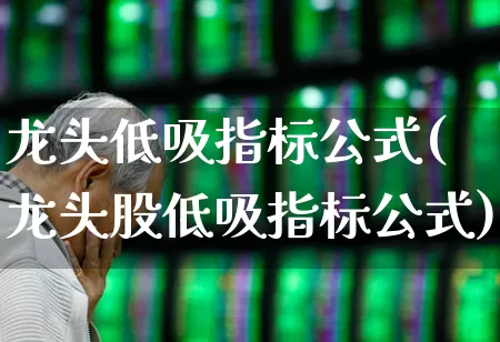 龙头低吸指标公式(龙头股低吸指标公式)_https://www.ccit-cctv.com_科创板_第1张