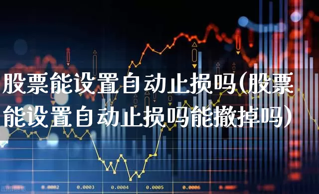 股票能设置自动止损吗(股票能设置自动止损吗能撤掉吗)_https://www.ccit-cctv.com_创业板_第1张
