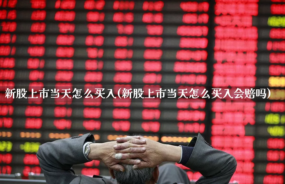 新股上市当天怎么买入(新股上市当天怎么买入会赔吗)_https://www.ccit-cctv.com_上交所_第1张