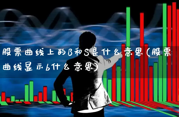 股票曲线上的B和S是什么意思(股票曲线显示b什么意思)_https://www.ccit-cctv.com_深交所_第1张