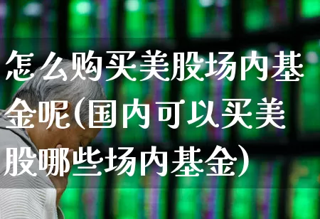 怎么购买美股场内基金呢(国内可以买美股哪些场内基金)_https://www.ccit-cctv.com_深交所_第1张