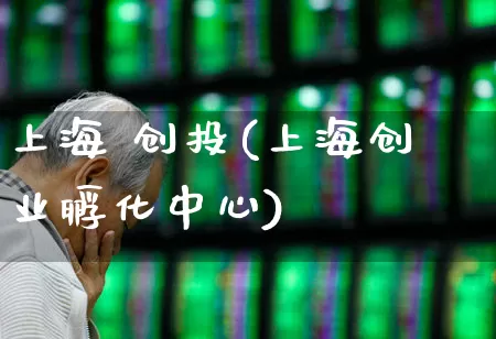 上海 创投(上海创业孵化中心)_https://www.ccit-cctv.com_北交所_第1张