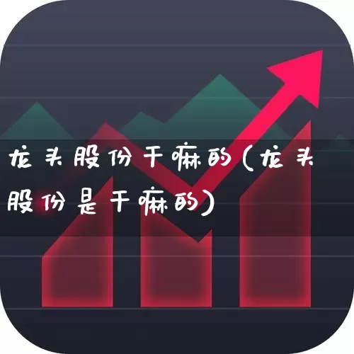 龙头股份干嘛的(龙头股份是干嘛的)_https://www.ccit-cctv.com_上交所_第1张