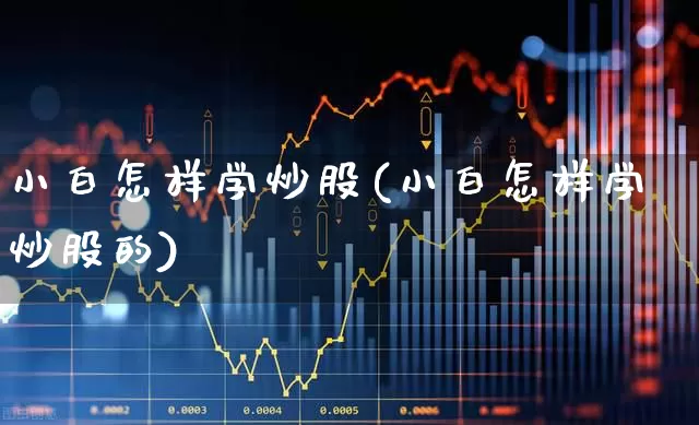 小白怎样学炒股(小白怎样学炒股的)_https://www.ccit-cctv.com_北交所_第1张