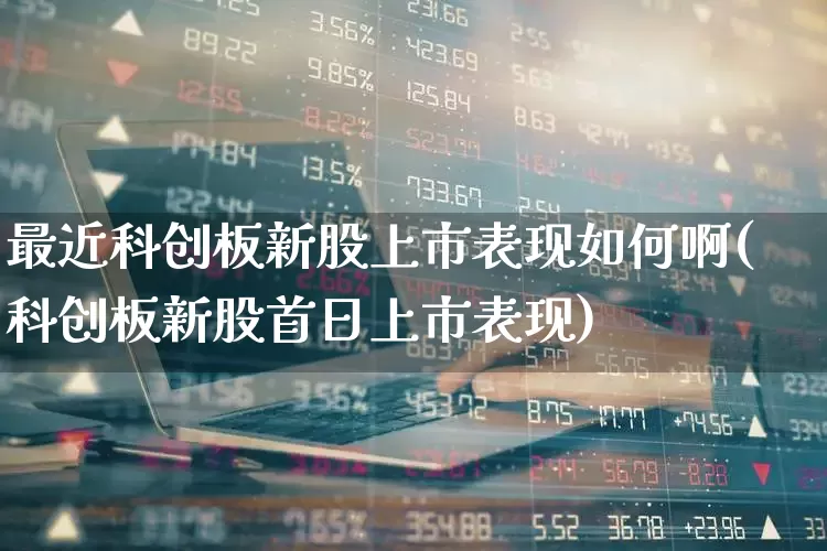 最近科创板新股上市表现如何啊(科创板新股首日上市表现)_https://www.ccit-cctv.com_科创板_第1张