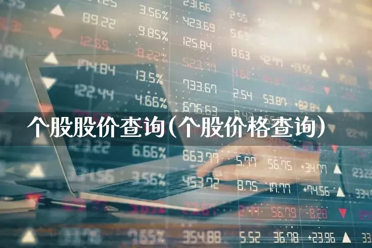 个股股价查询(个股价格查询)_https://www.ccit-cctv.com_科创板_第1张