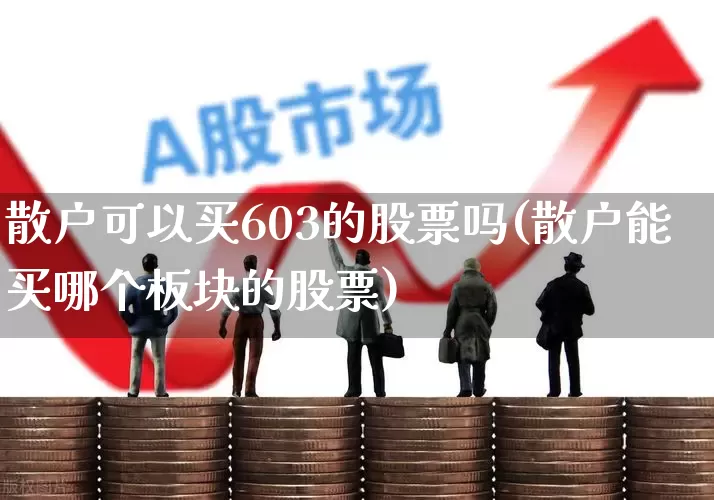 散户可以买603的股票吗(散户能买哪个板块的股票)_https://www.ccit-cctv.com_科创板_第1张