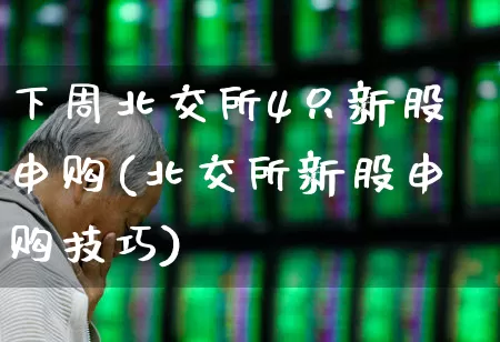 下周北交所4只新股申购(北交所新股申购技巧)_https://www.ccit-cctv.com_深交所_第1张