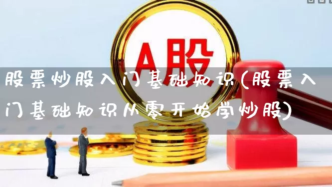 股票炒股入门基础知识(股票入门基础知识从零开始学炒股)_https://www.ccit-cctv.com_北交所_第1张
