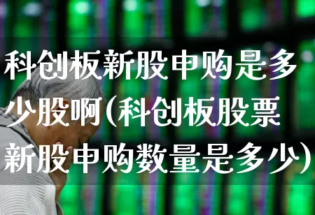 科创板新股申购是多少股啊(科创板股票新股申购数量是多少)_https://www.ccit-cctv.com_北交所_第1张