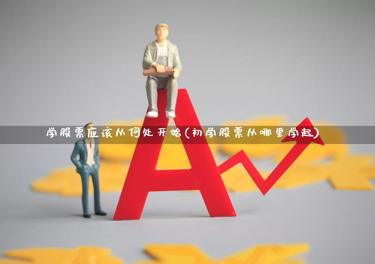 学股票应该从何处开始(初学股票从哪里学起)_https://www.ccit-cctv.com_创业板_第1张