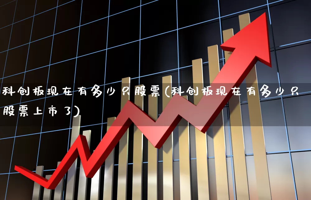科创板现在有多少只股票(科创板现在有多少只股票上市了)_https://www.ccit-cctv.com_北交所_第1张