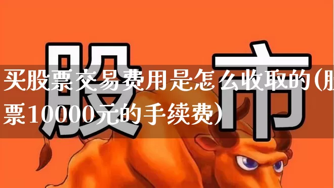 买股票交易费用是怎么收取的(股票10000元的手续费)_https://www.ccit-cctv.com_科创板_第1张