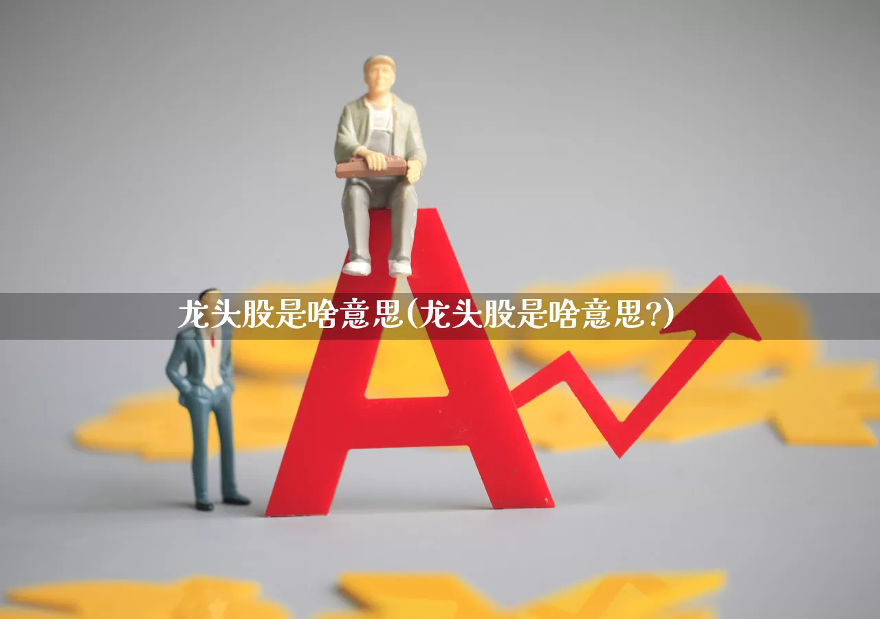 龙头股是啥意思(龙头股是啥意思?)_https://www.ccit-cctv.com_科创板_第1张