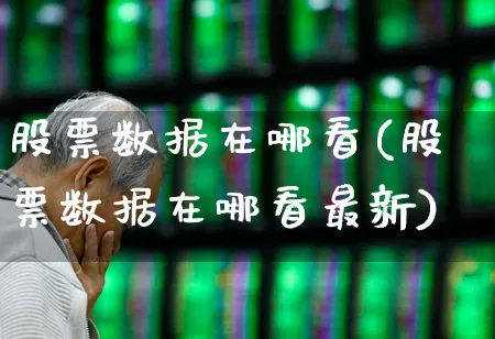 股票数据在哪看(股票数据在哪看最新)_https://www.ccit-cctv.com_深交所_第1张