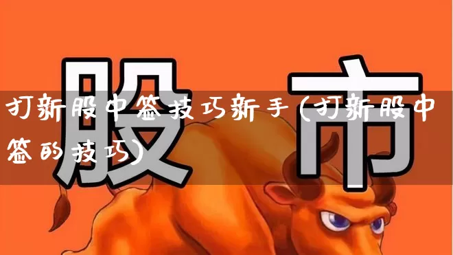 打新股中签技巧新手(打新股中签的技巧)_https://www.ccit-cctv.com_深交所_第1张