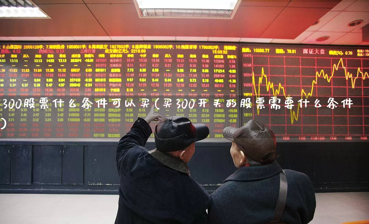 300股票什么条件可以买(买300开头的股票需要什么条件)_https://www.ccit-cctv.com_创业板_第1张