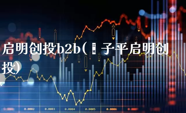 启明创投b2b(邝子平启明创投)_https://www.ccit-cctv.com_北交所_第1张