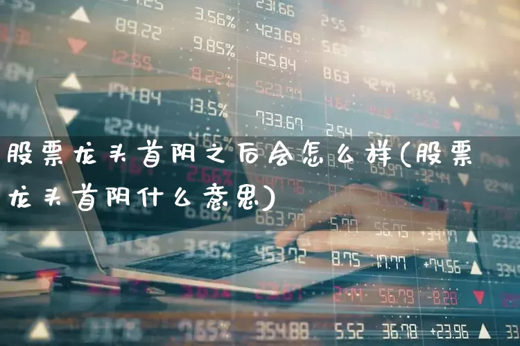 股票龙头首阴之后会怎么样(股票龙头首阴什么意思)_https://www.ccit-cctv.com_创业板_第1张