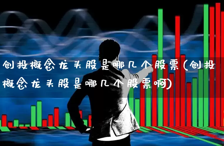 创投概念龙头股是哪几个股票(创投概念龙头股是哪几个股票啊)_https://www.ccit-cctv.com_北交所_第1张