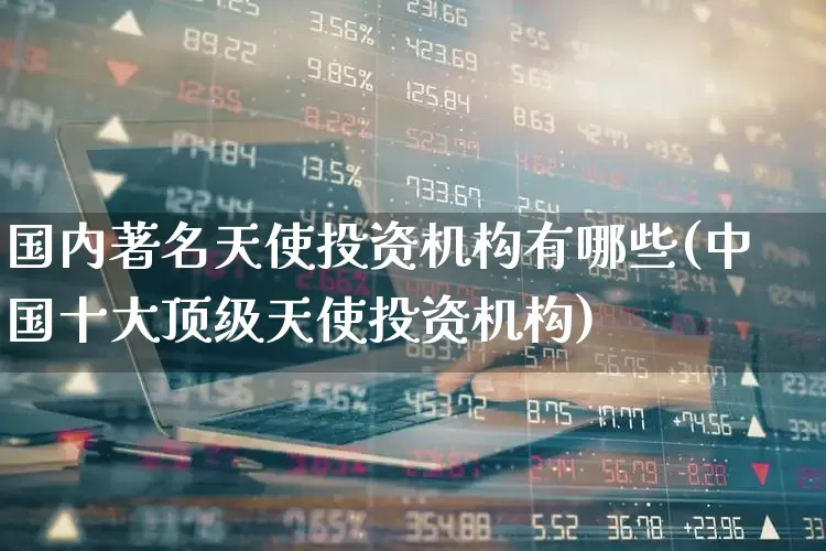 国内著名天使投资机构有哪些(中国十大顶级天使投资机构)_https://www.ccit-cctv.com_上交所_第1张
