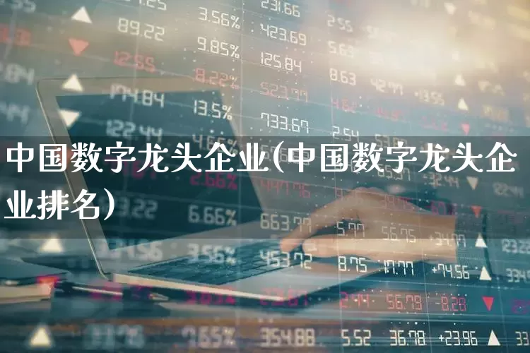 中国数字龙头企业(中国数字龙头企业排名)_https://www.ccit-cctv.com_科创板_第1张